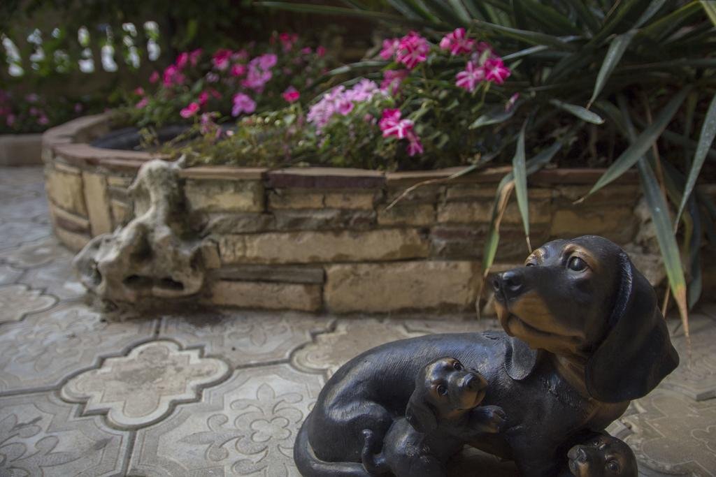 Гостиница Елена Анапа-29