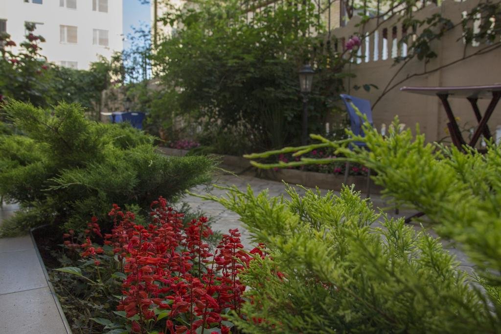 Гостиница Елена Анапа-28