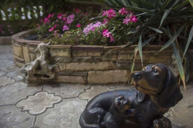 Гостиница Елена Анапа-28